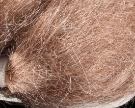 Fine Trilobal Wing Hair, Light Brown